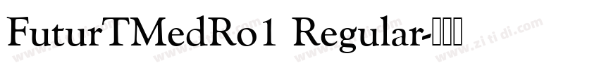 FuturTMedRo1 Regular字体转换 FuturTMedRo1 Regular字体转换